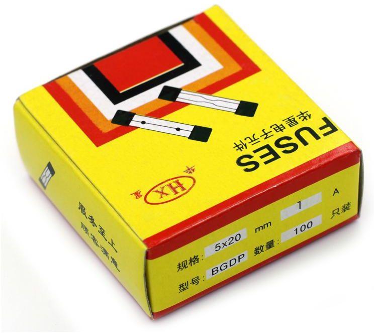 Glass Fuse 100 PCS 1A/250V 5x20