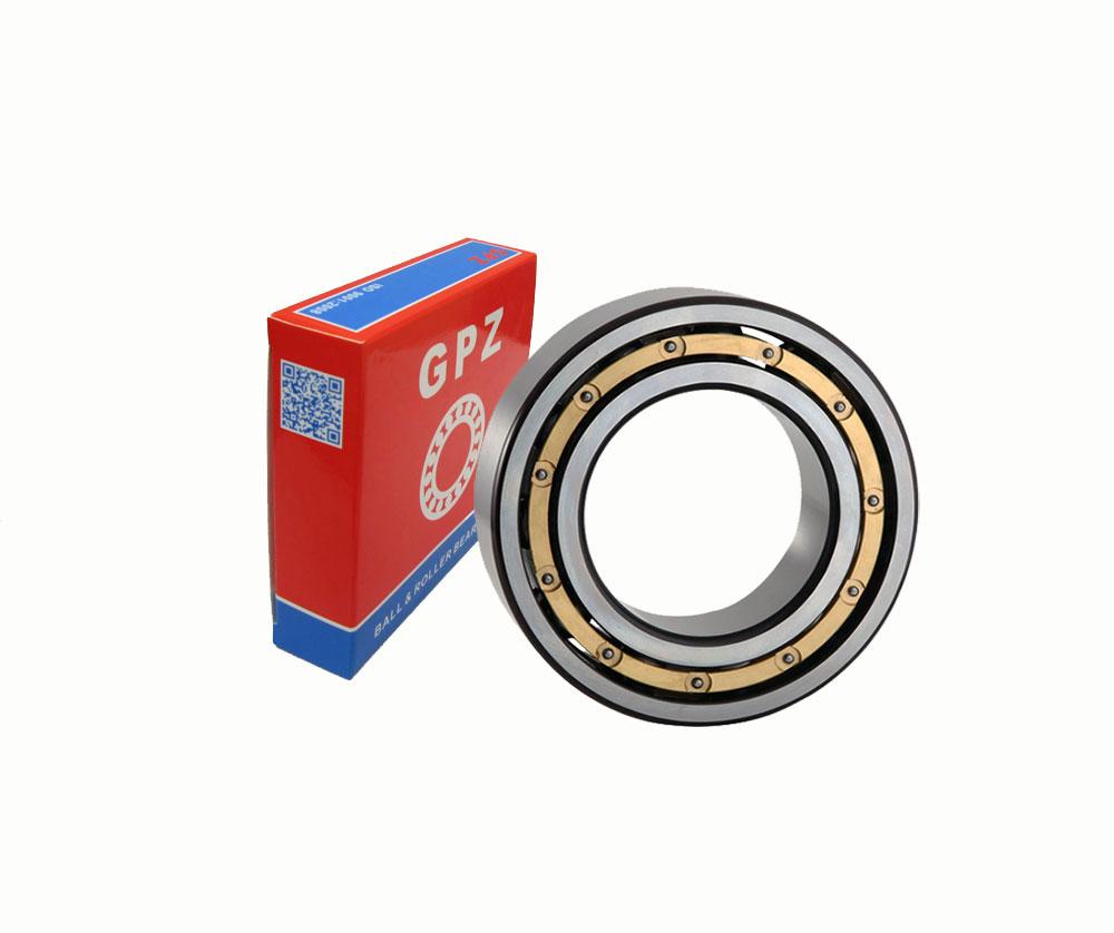 5219 Double Row Angular Contact Ball Bearing