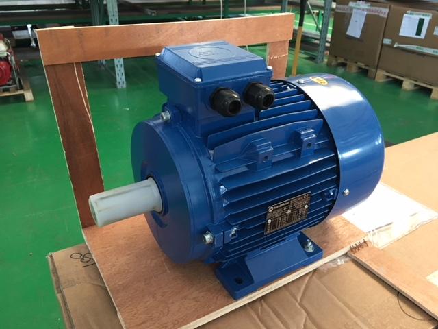 Eletric motor