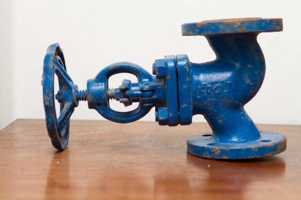 Globe Valve Flanged CS / DN50