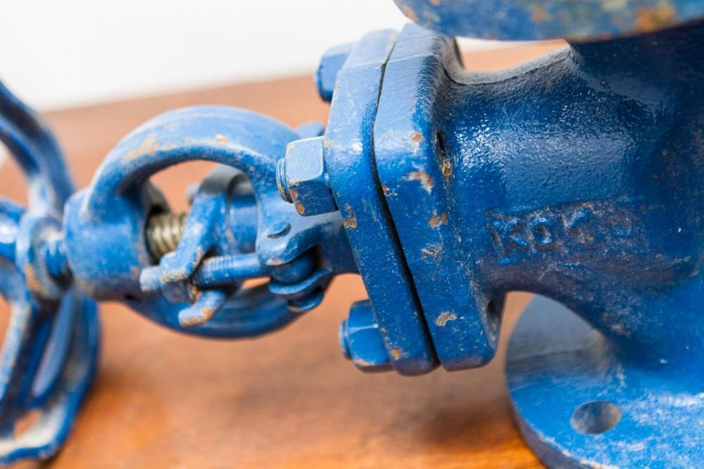 Globe Valve Flanged CS / DN50