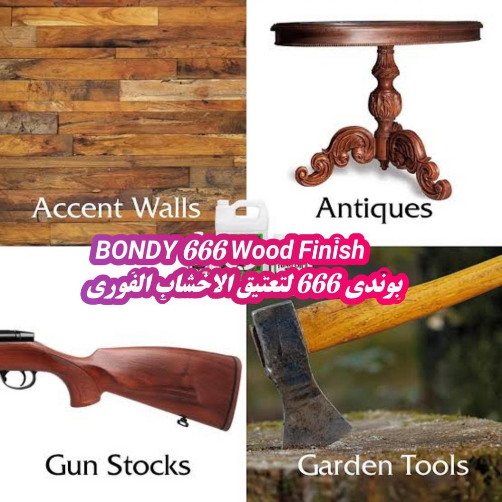 بوندى فنش 666