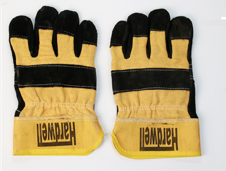 Cotton Gloves