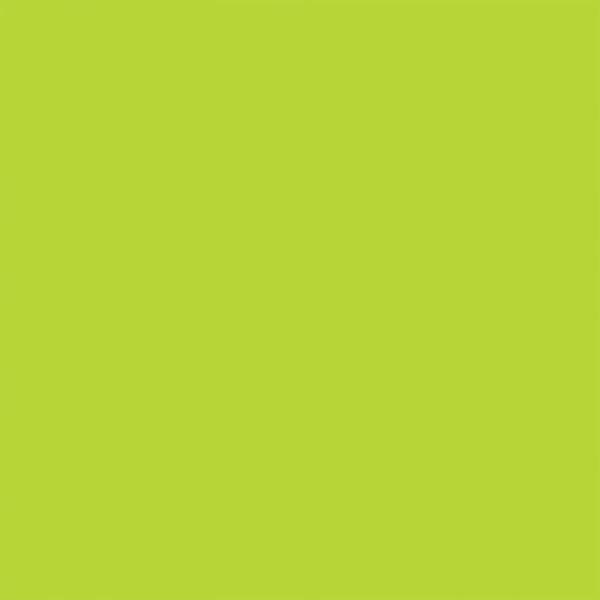 Rust-Oleum Painter’s Touch 355ML Gloss Ultra Cover Paint Key Lime Spray