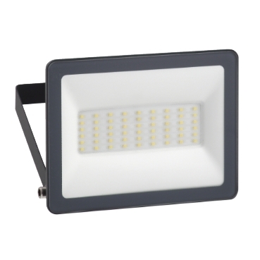 شنايدر كشاف واجهات 30 وات 230 فولت LED خارجي 6500K, IP65