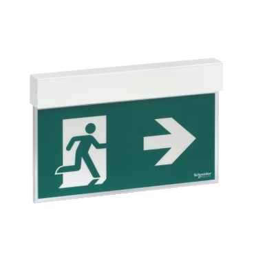 Schneider Electric Exiway Easysign' Emergency Exit Light Standard 24 M LED - White