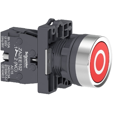 Marked Head Push-button Ø 22 - Flush Spring Return - 1NC