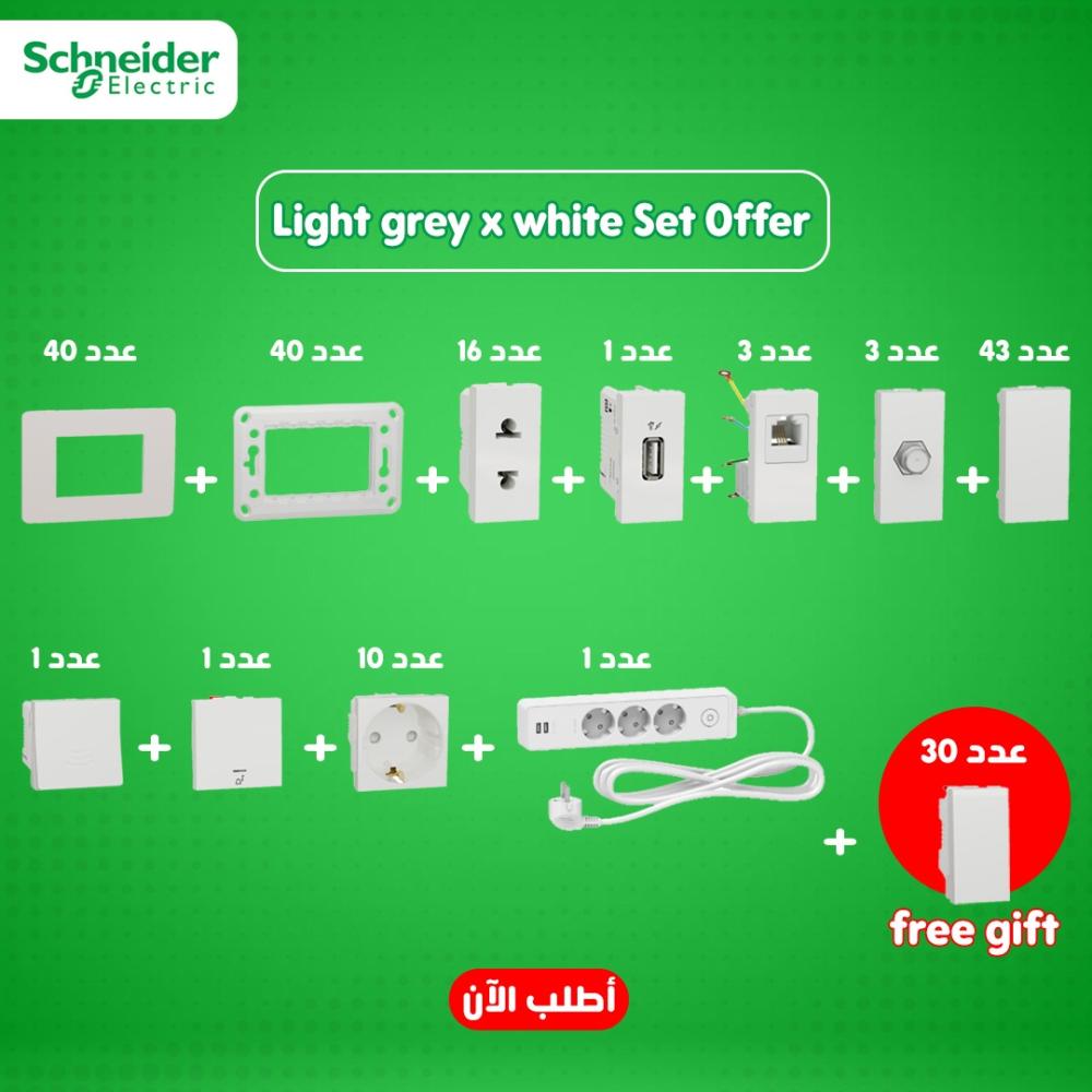 Schneider electric Light grey x white Wiring Devices Bundle