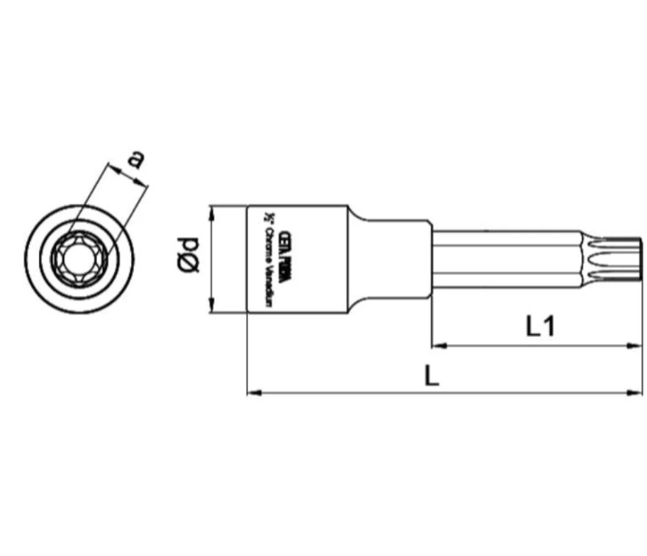 1/2 Inch Long Star Bit Socket T55, Length 99 Mm, Model C28S-T55L, Cetaform Turkish.