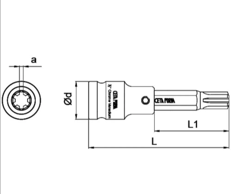 6 Mm Long 1/2 Inch Drive Spline Bit Socket – Ceta Form (Made In Turkey), Model: C28S-X06L