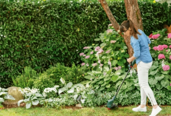 BOSCH Easy Grass Cut 26 - Trimmer 280 Watt