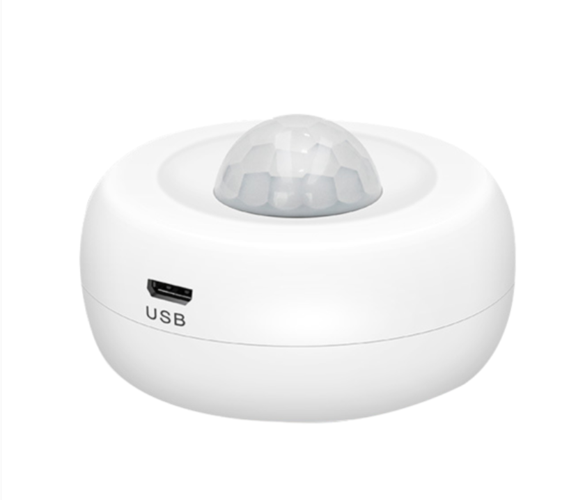 Standalone PIR Motion Detector