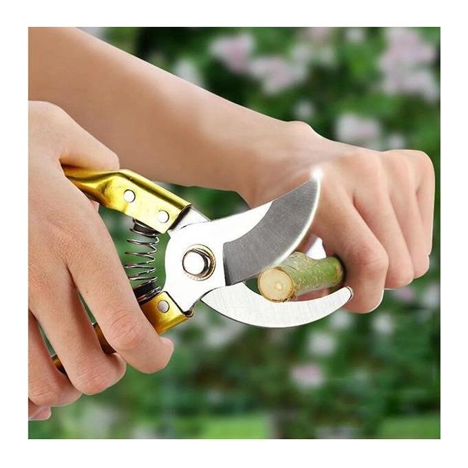 Flower Cutter Pruning Shears For Lawn & Garden