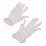 100pc Disposable Vinyl Gloves (size L)