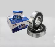 6020-2RS Deep Groove Ball Bearing
