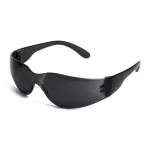 Bluebird safety glasses dark
