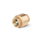 Brass Check Valve 40 mm