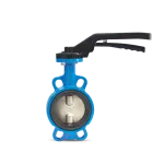 Butterfly Valve 50 mm