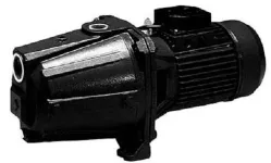 Cast Iron Self-Priming Pump 1.36 hp