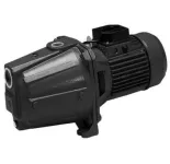 Cast Iron Self-Priming Pump 2 hp
