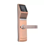 Face Recognition Lock, Biometric Door Lock, Keyless