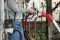 Ryobi Paint Sprayer 500W