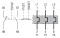 Thermal Overload 0.63-1A