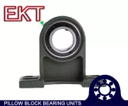 UCPH202 Pillow Block Bearing Unit
