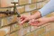 Bosch Home And Garden Water Filter Plastic, Clear