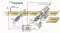 Motrona  Mc700: Intermittent Printing, Label Printing, Rotary Punching