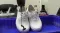 Rust-Oleum Neverwet Boot & Shoe Spray - 325 ML - clear
