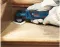 Bosch Cordless Multi-Cutter 12v