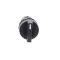 Schneider Electric selector switch,plastic,black,2POS,1NO