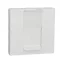 Schneider Electric RJ45 Cover Keystone/Systimax 2modules - white