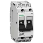 Thermal Magnetic Circuit Breaker, TeSys GB2, 2P, 3 A, Icu 3 KA@415 V