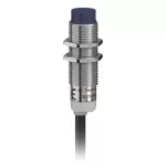 Inductive Sensor XS2 M12 - L44mm - Brass - Sn4mm - 12..24VDC - Cable 2m