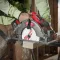 MILWAUKEE 190MM X 30MM X 36T CIRCULAR SAW BLADE WITH ANTI-FRICTION COATING