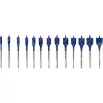BOSCH Flat Wood Drill Bit Set  10/12/13/14/16/18/20/22/24/25/28/30/32 Mm 13-pc