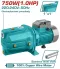 Total Jet Pump 1 Hp