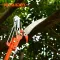 Long Length Professional Tree Trimmer Harden