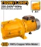 INGCO Water Pump 1hp 750W