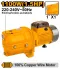 INGCO Water Pump 1.5hp 1100W