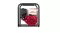 BRAVA Water Pump 11.2Hp Model W40X