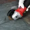 ANGLE GRINDER 900W - 125mm MPT