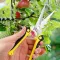 Scissors One Hand Stainless Steel Yellow