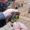 Wire Stripper Magic Box ROLSON