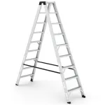 Aluminum Ladder, 9 Wide Steps