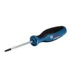 Bosch Screwdriver TX15x75 Professional