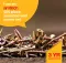 Amtech POZI Wood Screws Set, 500pcs, Assorted Lengths & Sizes