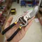 Garden Pruning Shear Bypass Pattern 200mm or 8 Inch Dipped Handle